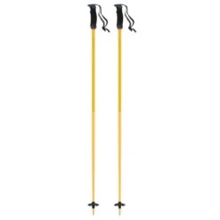 Atomic AMT SQS Ski Poles